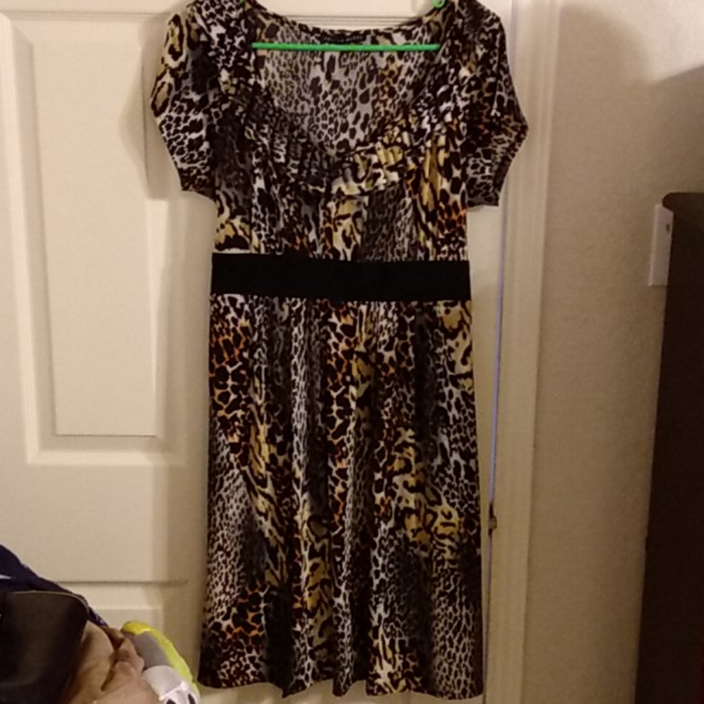 Ladies dress
